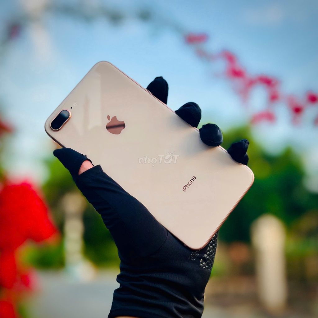 iPhone 8 Plus Gold 256GB full vân tay. BH 3 Tháng. Mua bán Điện thoại tại Thành phố Bến Tre Bến Tre được đăng bởi TN Store hình 1