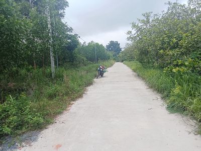 Cho thuê phòng trọ không gác. Cách KCN SIKICO 1KM. Cho thuê phòng trọ tại Huyện Hớn Quản Bình Phước được đăng bởi Tráng Cường