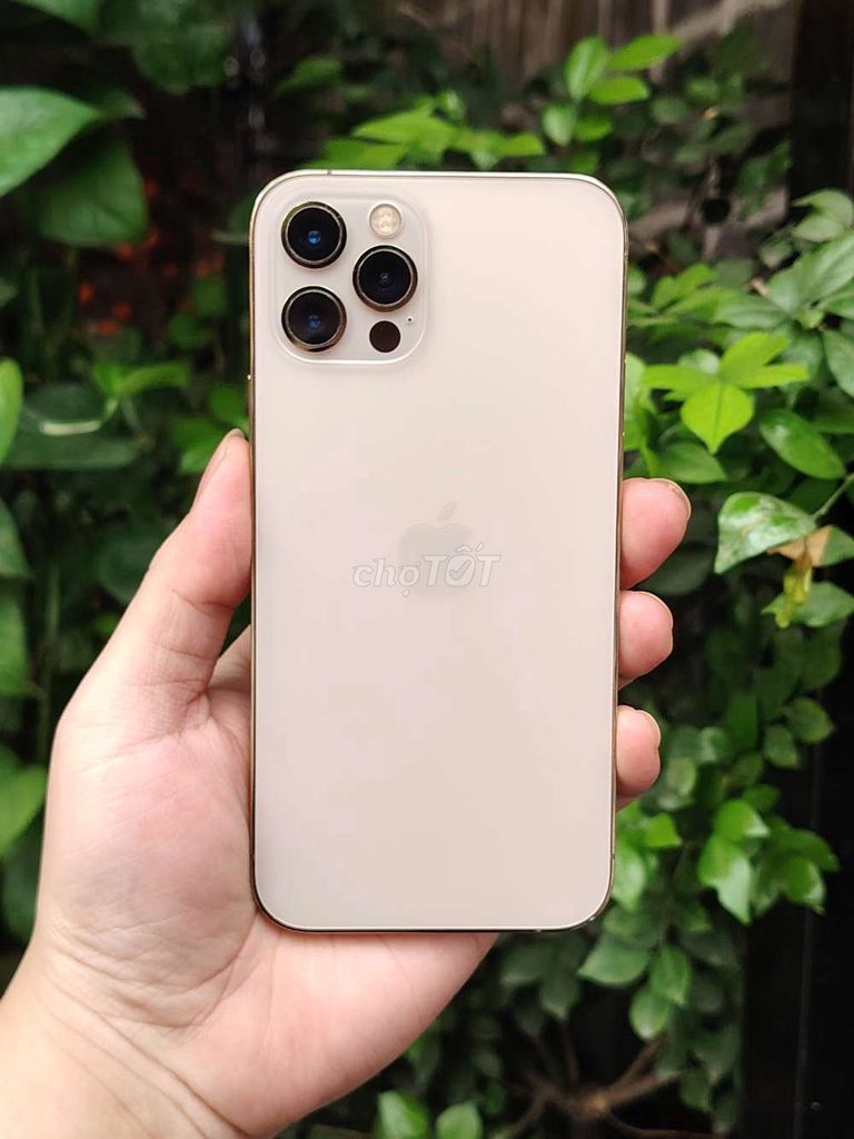 Apple iPhone 12 Pro Vàng. Mua bán Điện thoại tại Quận Hải An Hải Phòng được đăng bởi Đoàn Hoàng Vân San hình 1