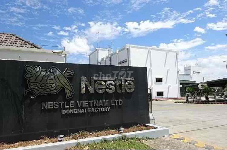 CÔNG TY CÀ PHÊ NESTLE KCN BIÊN HOÀ 2- LONG BÌNH