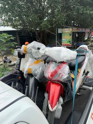 Bán tất cả dòng Future xe 9 chủ bao hs. Mua bán Xe máy tại Huyện Giồng Trôm Bến Tre được đăng bởi FB Thanh Tú 