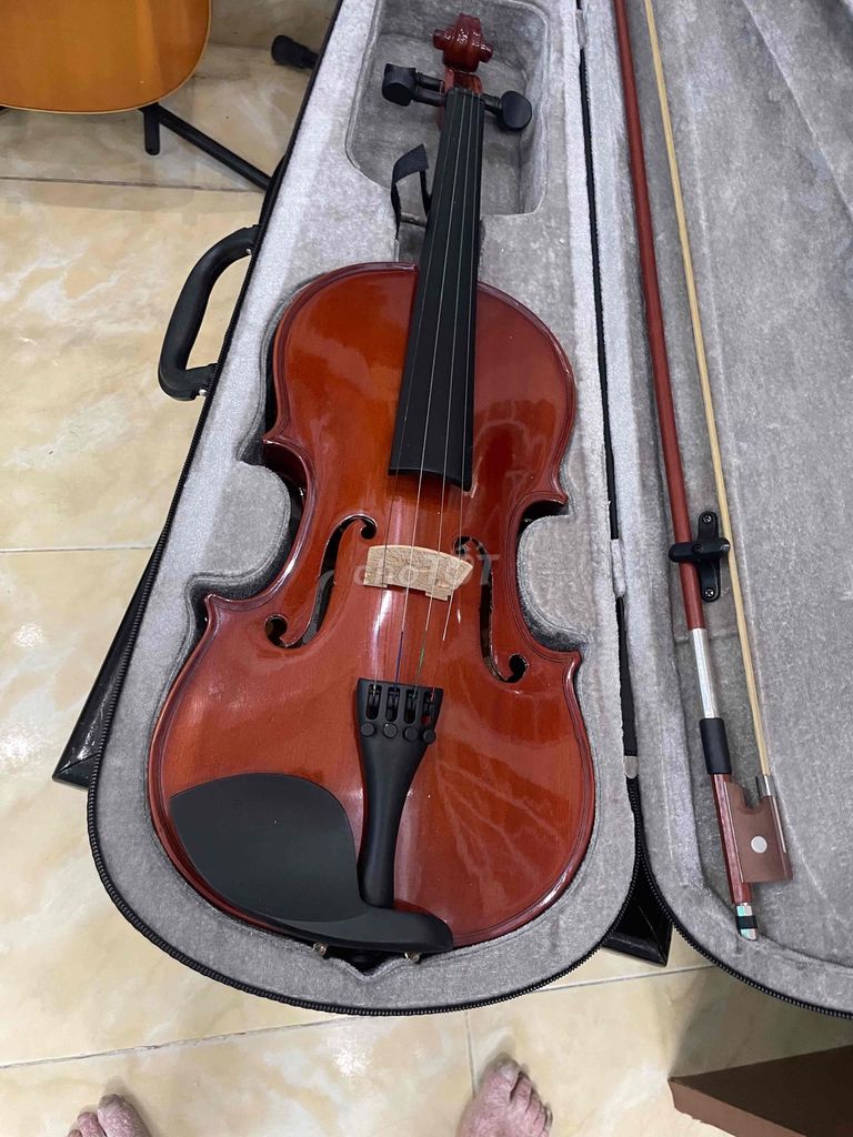 violin có kèm cây kéo