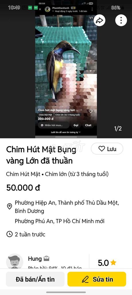 Chim Hút Mật bụng vàng 3 tháng đã thuần. Mua bán Chim tại Thành phố Thủ Dầu Một Bình Dương được đăng bởi Hung hình 1