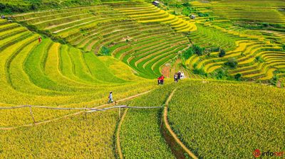 Chính chủ bán 700m2 đất mặt đường Vân Hòa, Khoang Xanh Suối Tiên. Mua bán đất tại Huyện Ba Vì Hà Nội được đăng bởi Nhà đất HN