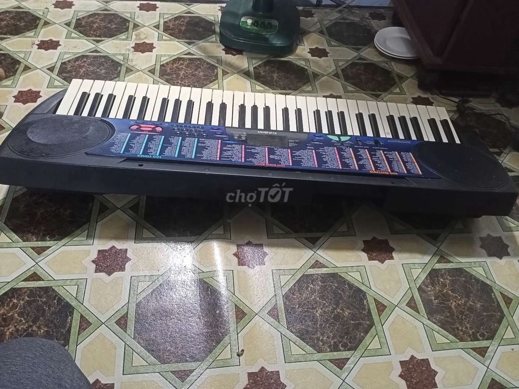 Organ Casio CTK 495