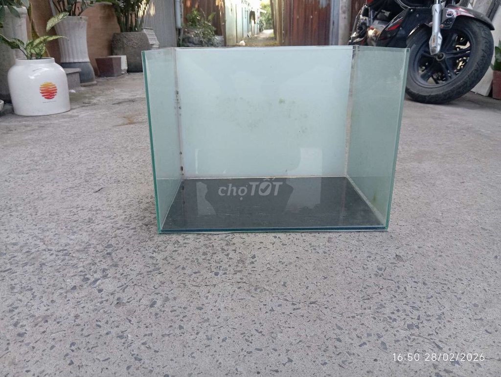 Hồ 40-40-30. Mua bán Phụ kiện, Thức ăn, Dịch vụ tại Thành phố Thủ Đức Tp Hồ Chí Minh được đăng bởi Nguyễn Trọng Tấn hình 1