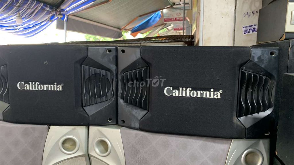 Cap loa  california  bass 20cm từ  kép  zing ok