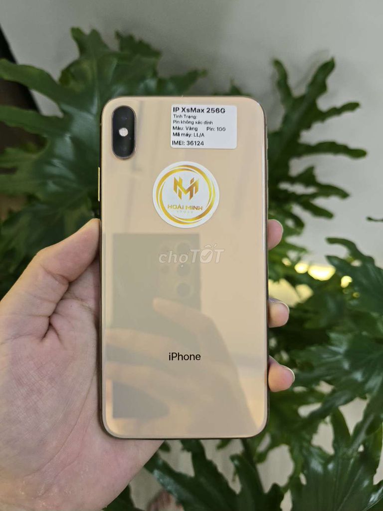 iPhone Xs Max 256GB Vàng Đã thay pin, màn. Mua bán Điện thoại tại Quận Ninh Kiều Cần Thơ được đăng bởi Hoài Minh Store hình 1