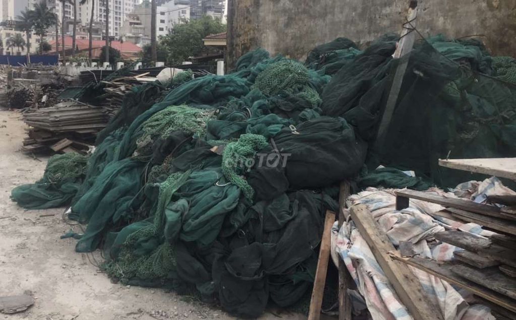 Lưới công trình Xanh lá. Mua bán Đồ chuyên dụng, Giống nuôi trồng tại Quận Hải An Hải Phòng được đăng bởi Smile hình 1