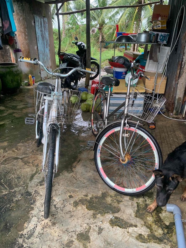 1 cặp xe đạp phổ thông. Mua bán Xe đạp tại Huyện Phước Long Bạc Liêu được đăng bởi Minh Thẳng hình 2
