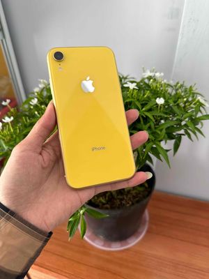 Iphone Xr 128g màu vàng quốc tế zin mới 99%