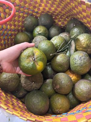 cam sành chín ngọt. size 456. Mua bán Đồ ăn, thực phẩm và các loại khác tại Quận 6 Tp Hồ Chí Minh được đăng bởi Tâm