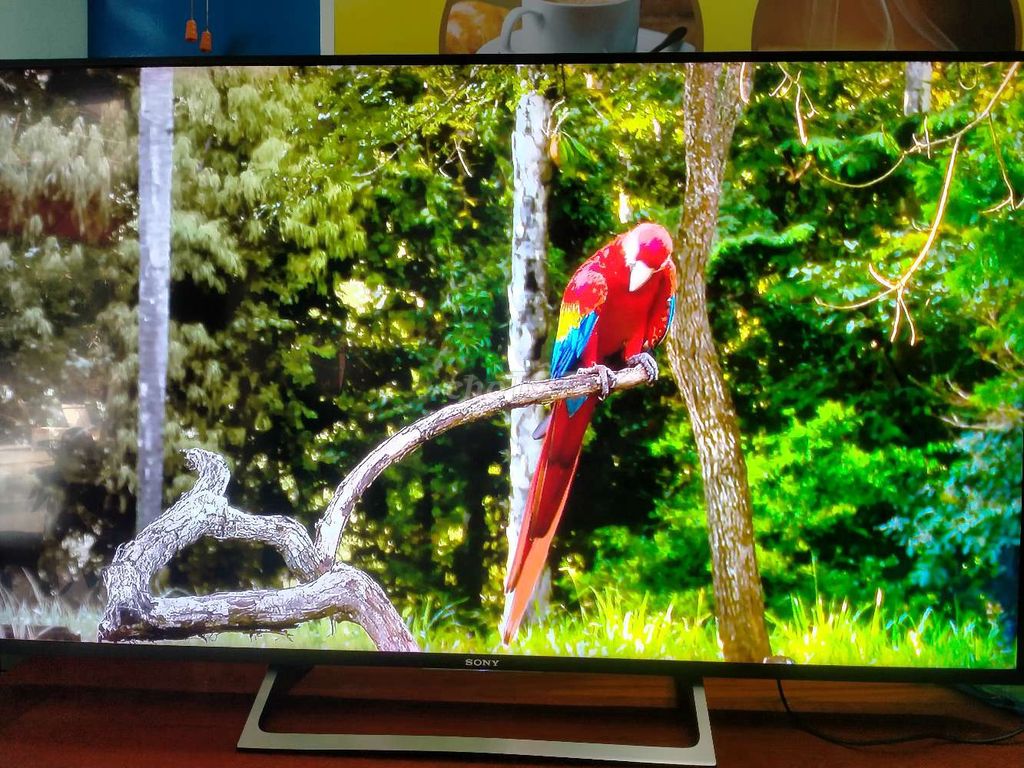 Tivi Sony 55X8500E