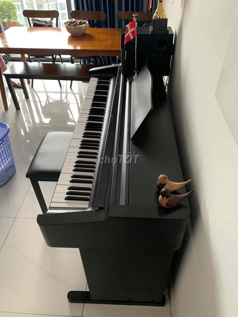 Bán đàn Piano Điện Casio Celviano