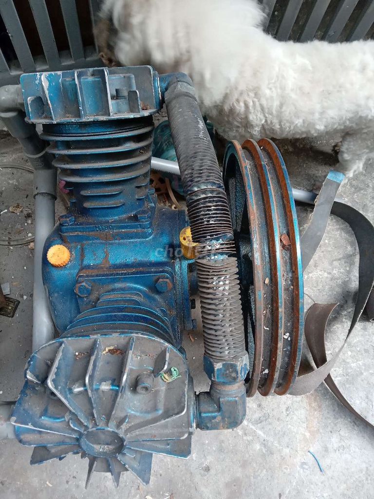 Đầu máy nén khí. Mua bán Đồ chuyên dụng, Giống nuôi trồng tại Quận 1 Tp Hồ Chí Minh được đăng bởi Nguyen My hình 1