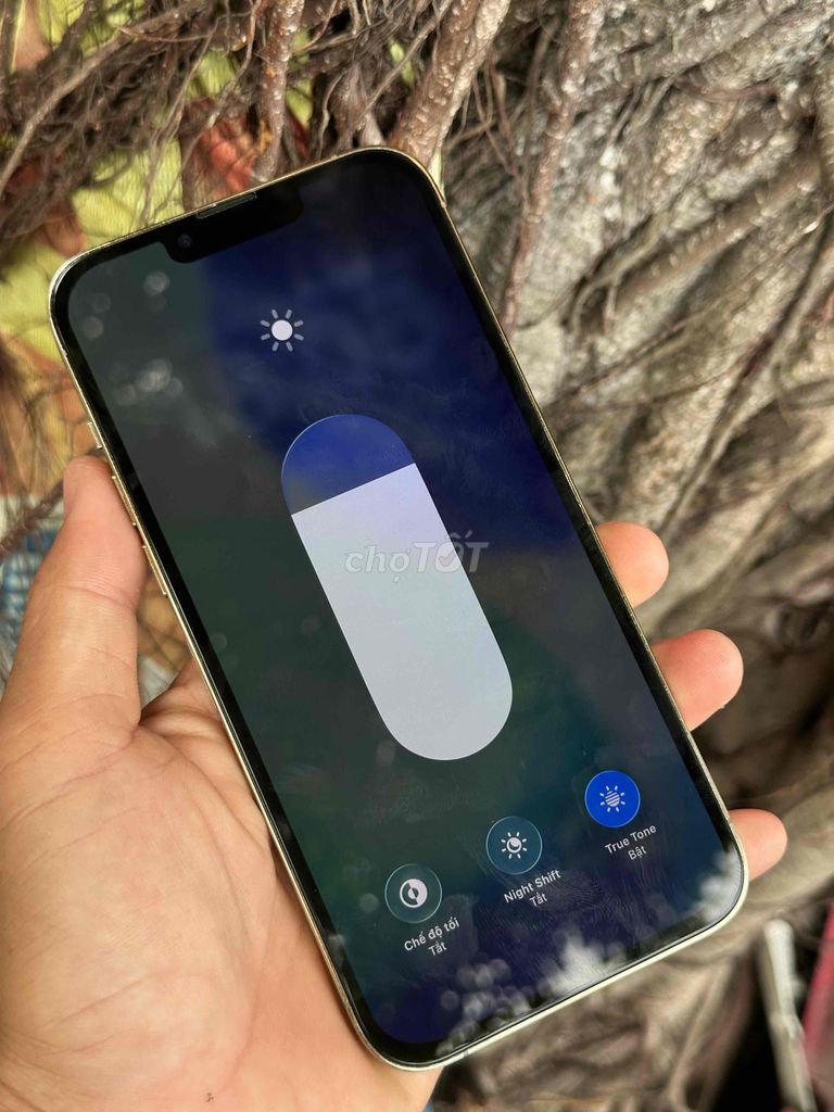Apple iPhone 13 Pro Max Vàng. Mua bán Điện thoại tại Huyện Thoại Sơn An Giang được đăng bởi Foryou Mobile hình 1