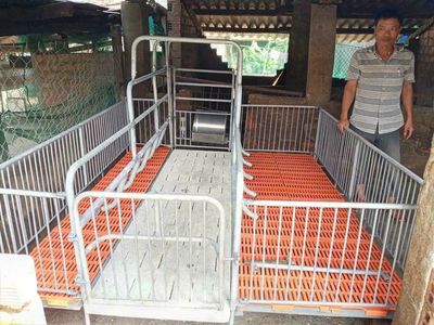 CHUỒNG HEO NÁI ĐẺ GIÁ SIÊU RẺ!!. Mua bán Đồ chuyên dụng, Giống nuôi trồng tại Huyện Phù Cát Bình Định được đăng bởi Uyen Ngan