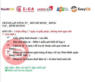 CÔNG TY  GIẢI PHÁP DOANH NGHIỆP VIP 