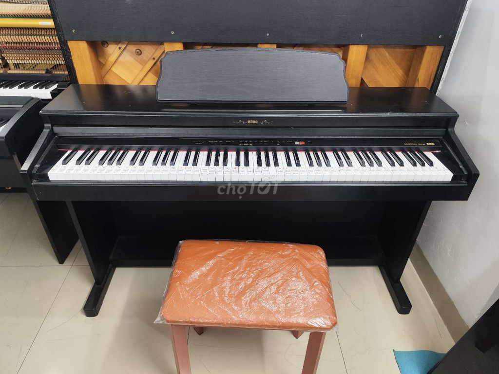 Piano KORG C350