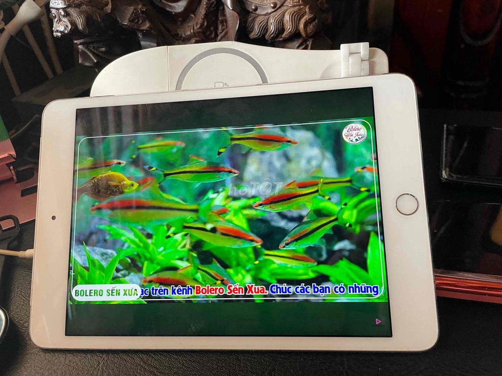 Ipad mini 4 bản 128gb giải trí và học tập. Mua bán Máy tính bảng tại Thành phố Buôn Ma Thuột Đắk Lắk được đăng bởi MUA THEO NHU CẦU hình 3