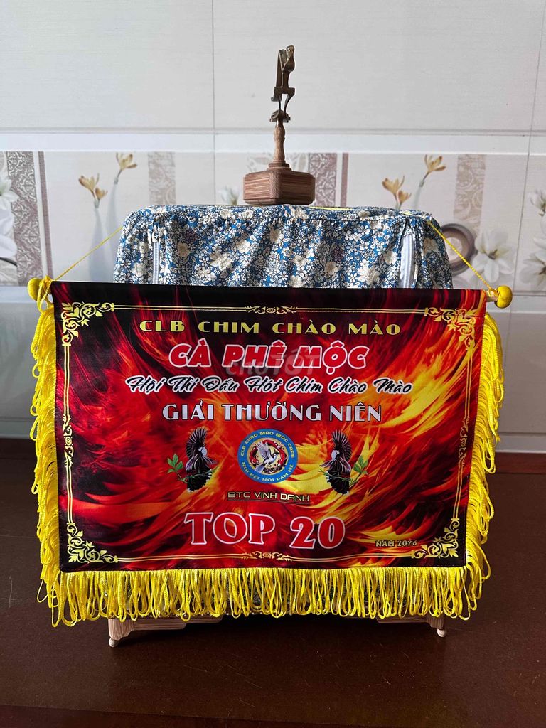 chim chào mào tìm lồng sin cao nan khít. Mua bán Chim tại Quận Sơn Trà Đà Nẵng được đăng bởi Bin hình 1