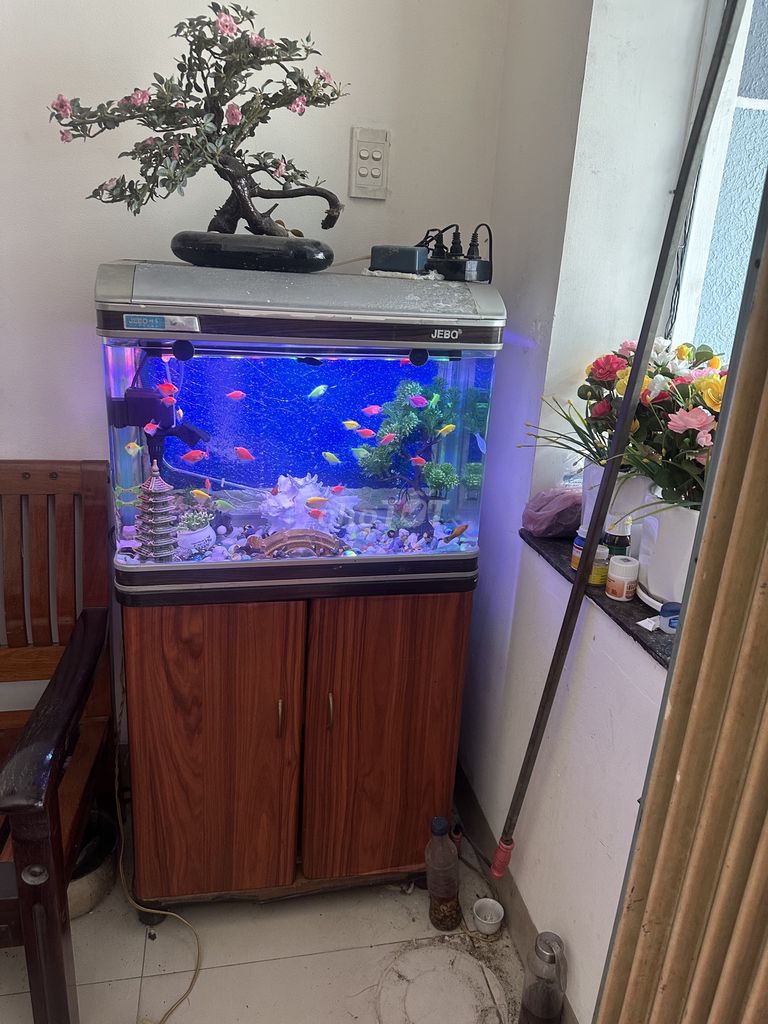 Hồ cá phong thủy JEBO Kính Gỗ bao gồm Cá Tủ. Mua bán Thú cưng khác tại Quận Sơn Trà Đà Nẵng được đăng bởi thu thao hình 1