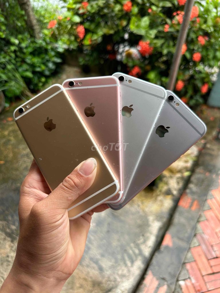 Apple iPhone 6s 16GB Zin Full chức năng. Mua bán Điện thoại tại Huyện Châu Phú An Giang được đăng bởi Thương Nè hình 1