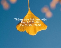 Cua hang dong tau N3 Cua hang dong tau N3