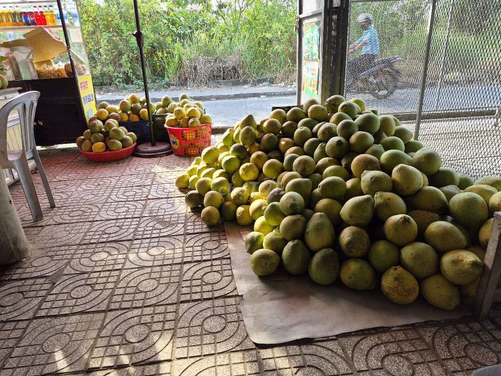 Bưởi Năm Roi 850-900gr/trái. Mua bán Đồ ăn, thực phẩm và các loại khác tại Quận Ninh Kiều Cần Thơ được đăng bởi TRẦN HỒNG CÚC  hình 1