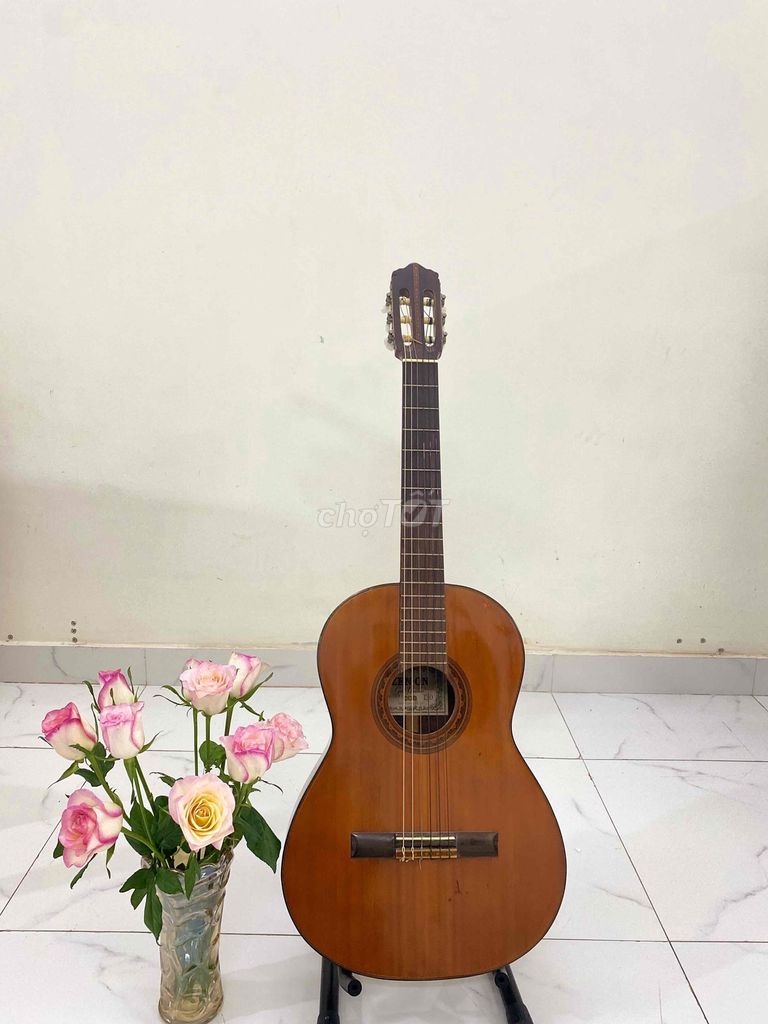 xả guitar Classic zenon