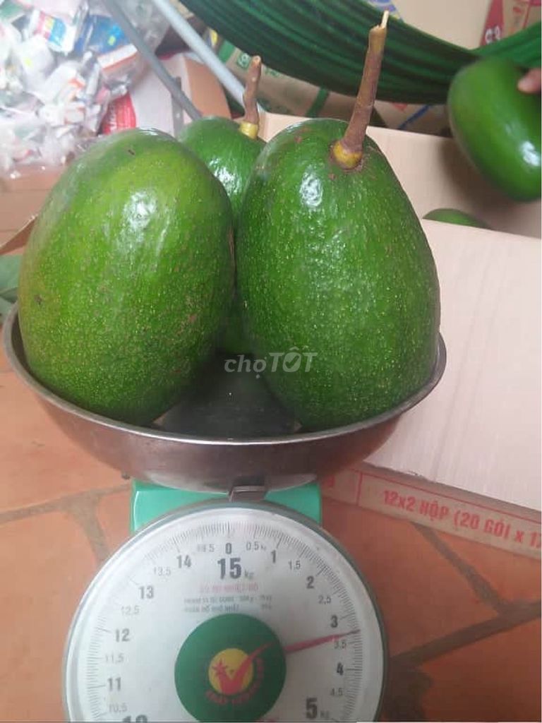 0367026267 - Bơ Thành Bích trái to 1kg/1trái cơm vàng, dẻo