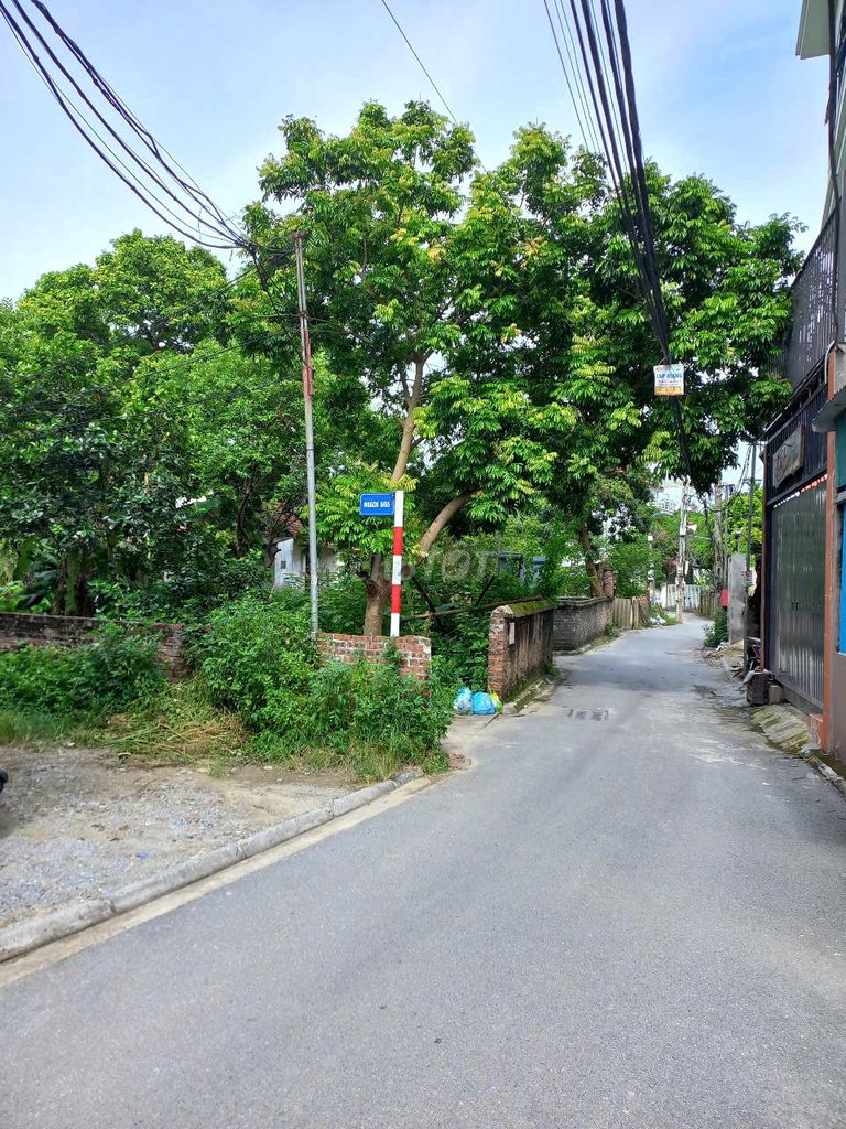 CHÍNH CHỦ bán đất lô góc 2MT đường ô tô xóm 7 Đông Dư, GL,HN. Mua bán đất tại Huyện Gia Lâm Hà Nội được đăng bởi Huynh hình 3