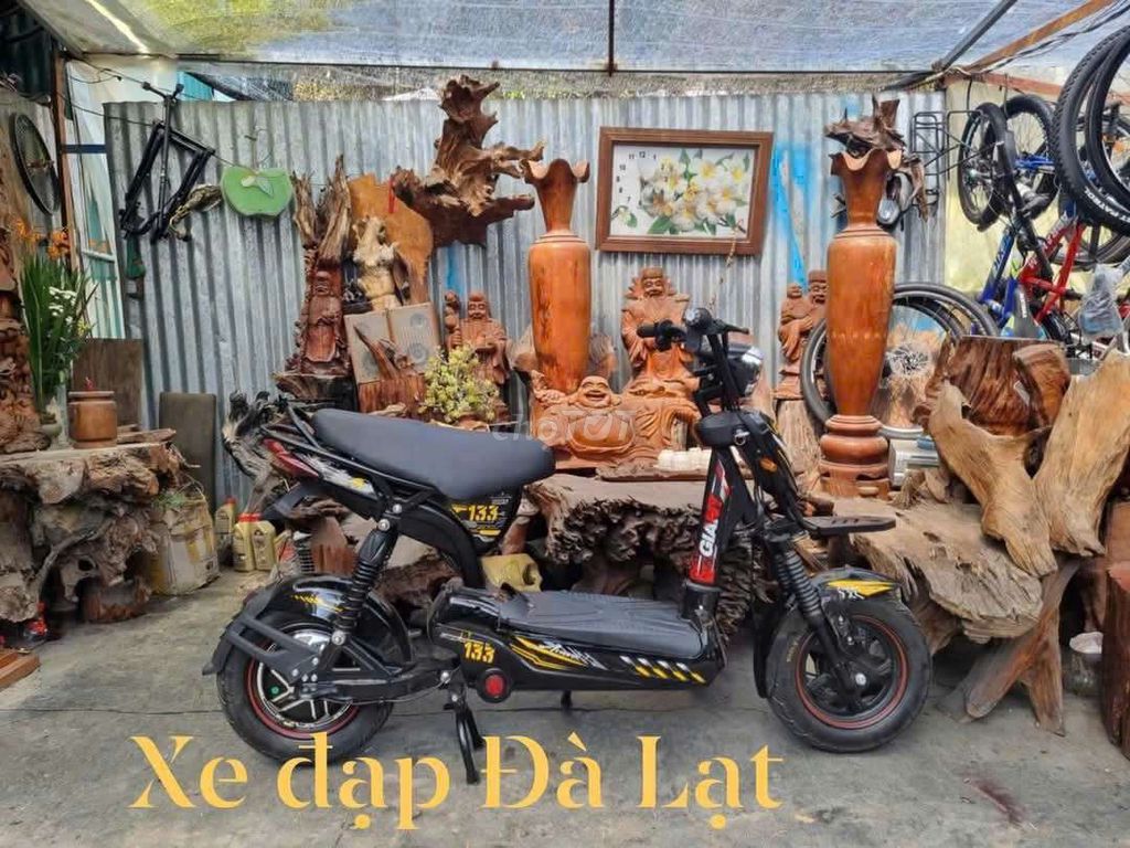 Xe đạp điện Osakar 133 màu Đen. Mua bán Xe điện tại Thành phố Đà Lạt Lâm Đồng được đăng bởi quang le hình 7
