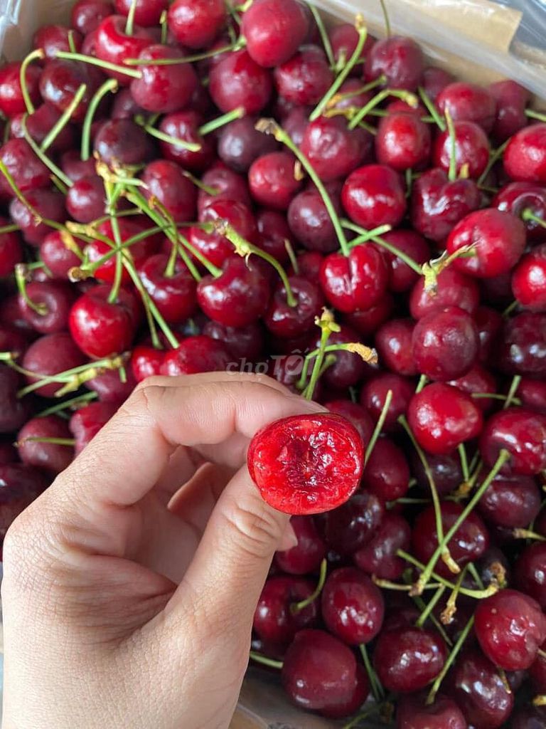 Cherry Mỹ 1kg