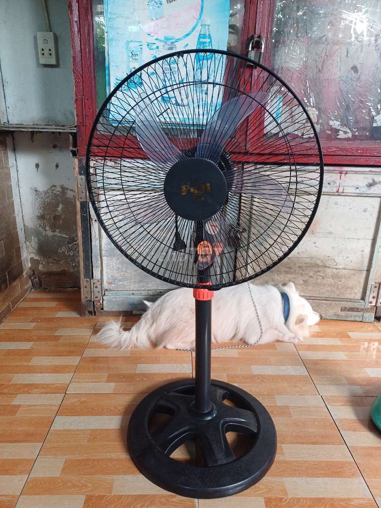 Quạt đứng Fuji Đen. Mua bán Quạt tại Huyện Nhà Bè Tp Hồ Chí Minh được đăng bởi đồ cũ giá rẻ hình 1