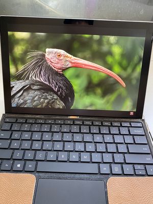 Surface Pro 6 i5-8250U GEN 8  RAM 8GB - SSD 128GB