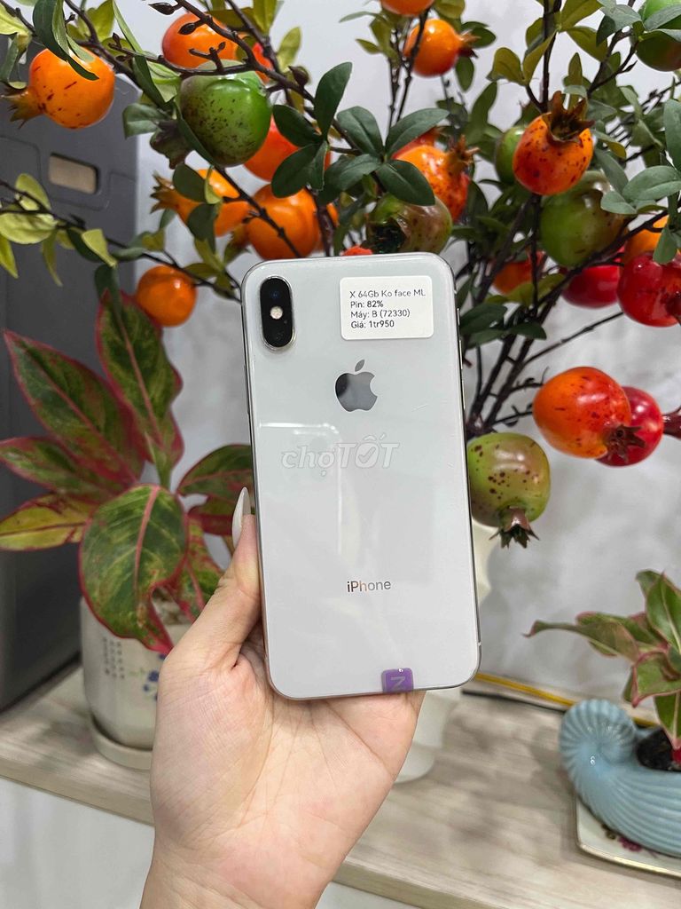 Apple iPhone X 64GB Trắng LL/A | Màn lô ko faceid. Mua bán Điện thoại tại Huyện Hóc Môn Tp Hồ Chí Minh được đăng bởi Luân Hoài hình 1