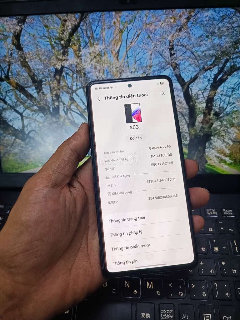 SAMSUNG A53 5G 8GB.128GB PIN 5000 ZIN FULL CN. Mua bán Điện thoại tại Quận Bình Thạnh Tp Hồ Chí Minh được đăng bởi Dân Mobile hình 1
