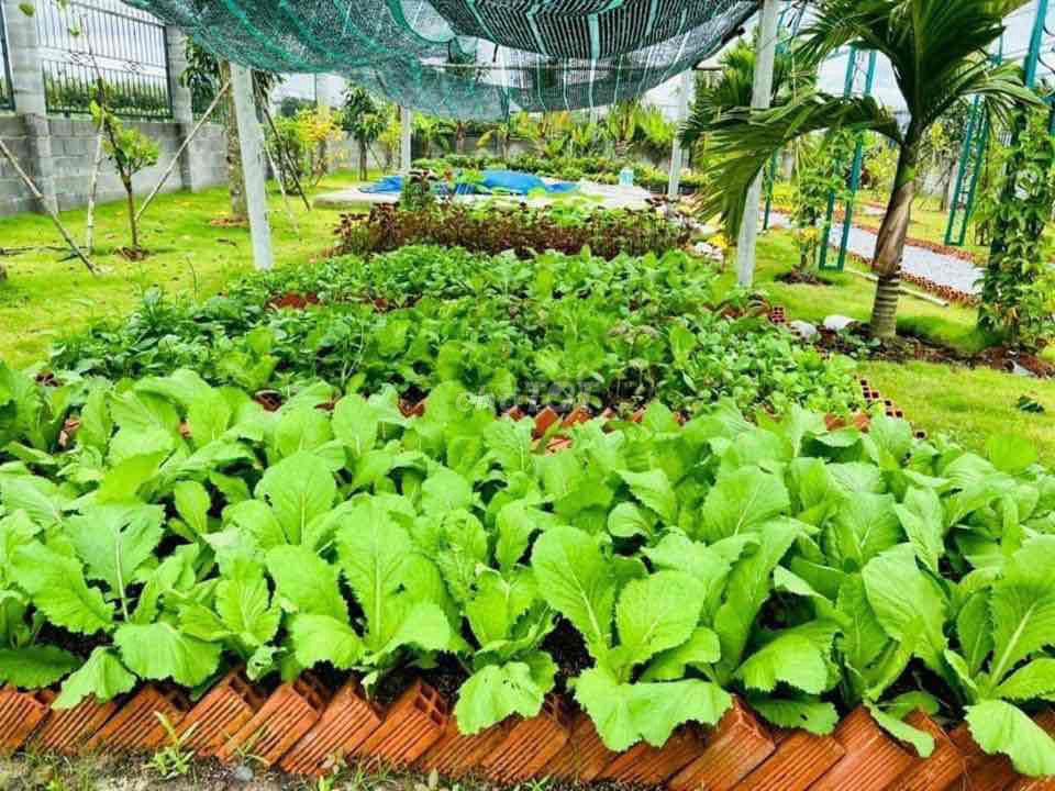 Bán Đất tặng vườn Rau sạch tại Bình Phước