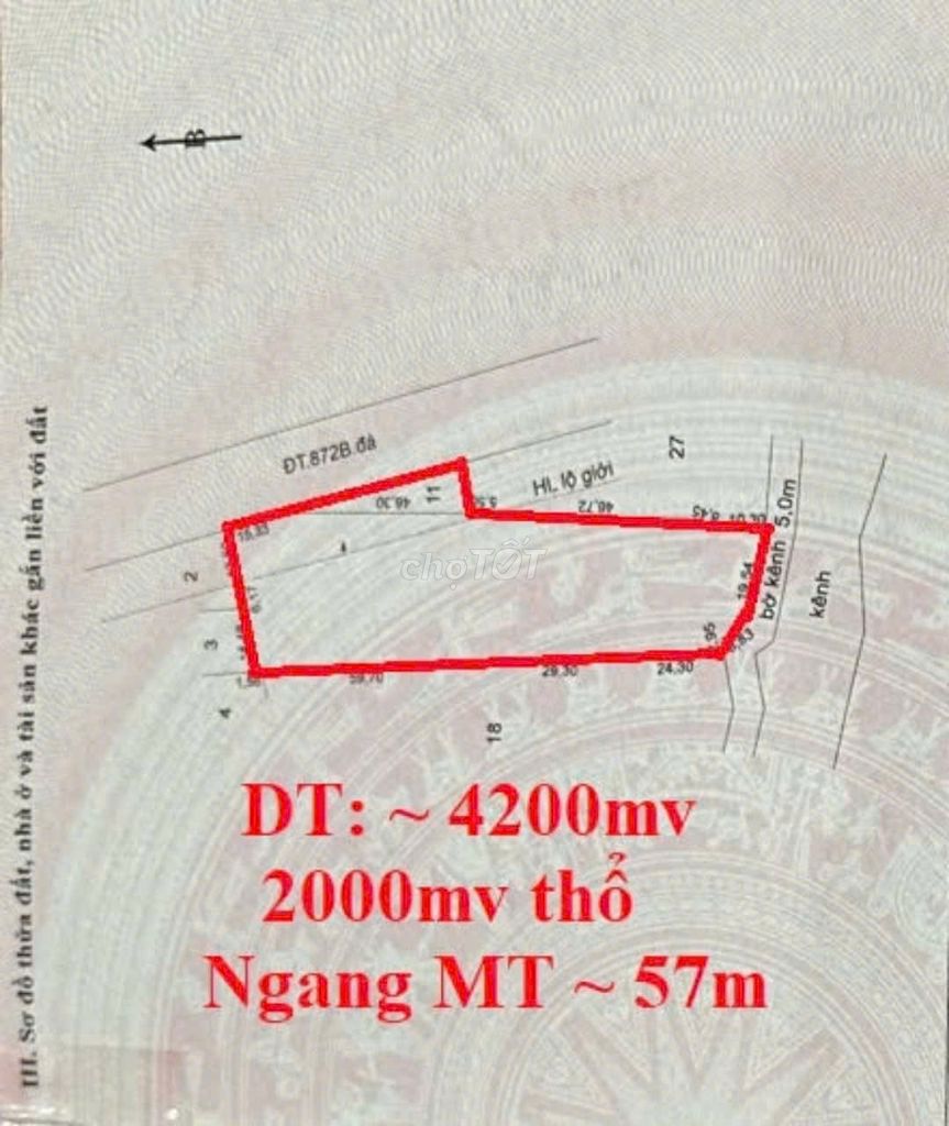 Đất 4.170m2 Gò Công Tiền Giang. MT ĐT.872B, có 2.000m2 thổ, sổ rồi