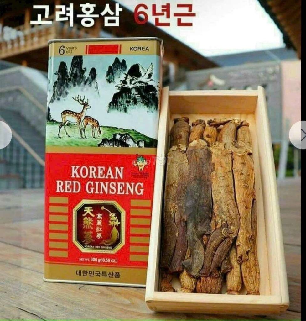 Hồng sâm củ khô Hàn Quốc 300g. Mua bán Đồ ăn, thực phẩm và các loại khác tại Thành phố Thủ Đức Tp Hồ Chí Minh được đăng bởi Diepht Quynh hình 1