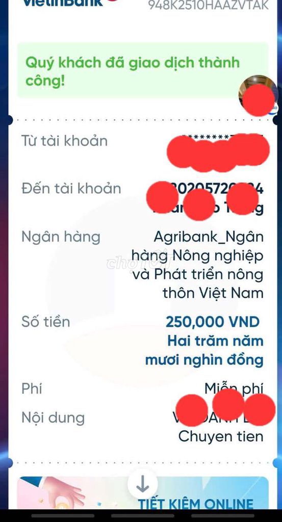 Lụp thép xanh full đồng cho chim sâu !