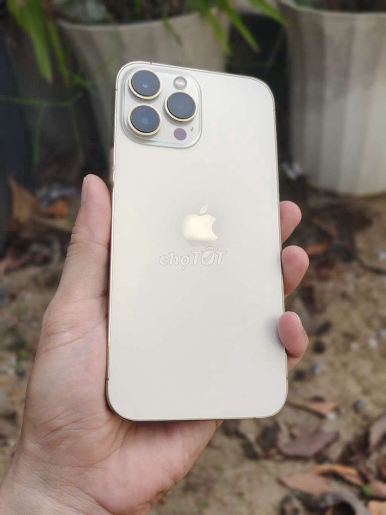 iPhone 13 Pro Max 99%. Mua bán Điện thoại tại Quận Ninh Kiều Cần Thơ được đăng bởi NXT Mobile hình 1