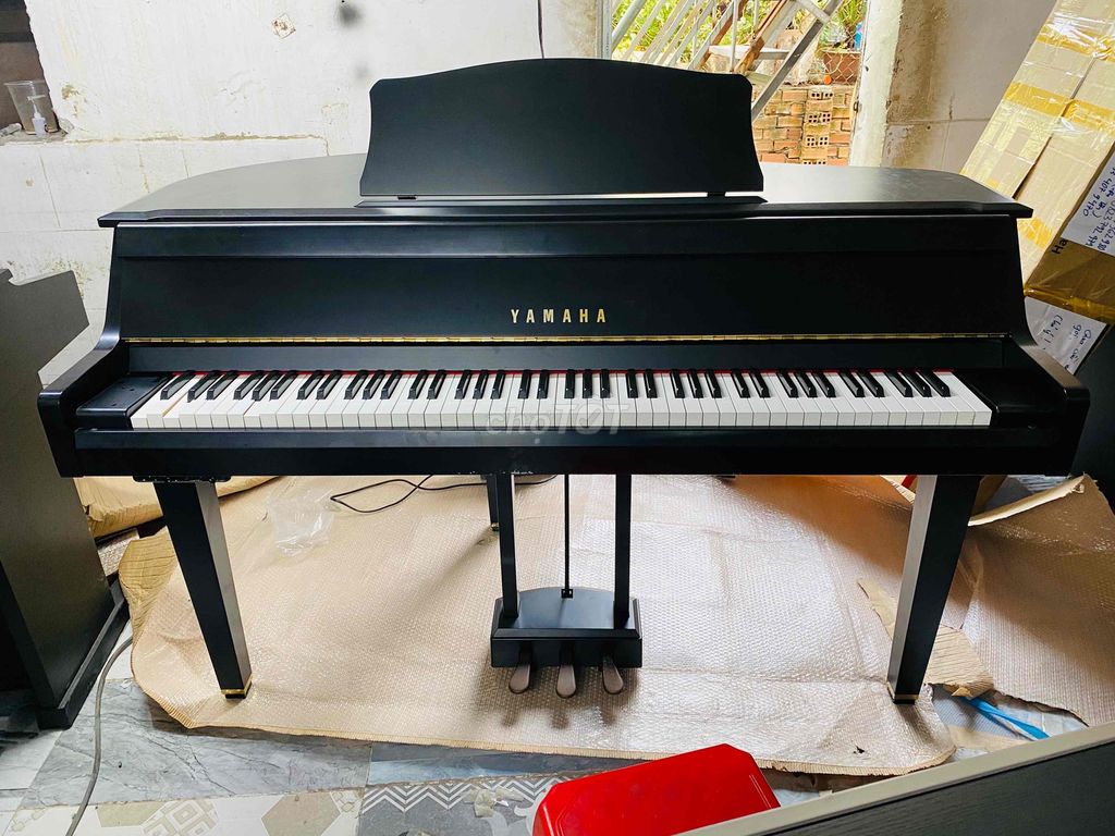 Grand baby Yamaha Dgp1 zin nhật bản