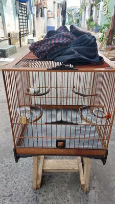 Lồng vuông đấu chào mào. Mua bán Chim tại Huyện Hóc Môn Tp Hồ Chí Minh được đăng bởi hùng phạm