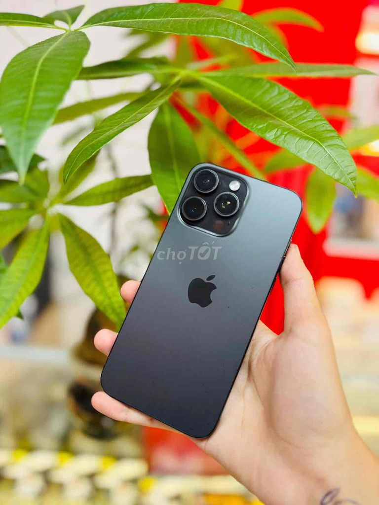 iPhone 15 Pro Max 256GB Titan Gray ( Quốc tế). Mua bán Điện thoại tại Thành phố Biên Hòa Đồng Nai được đăng bởi Thang Tran hình 1