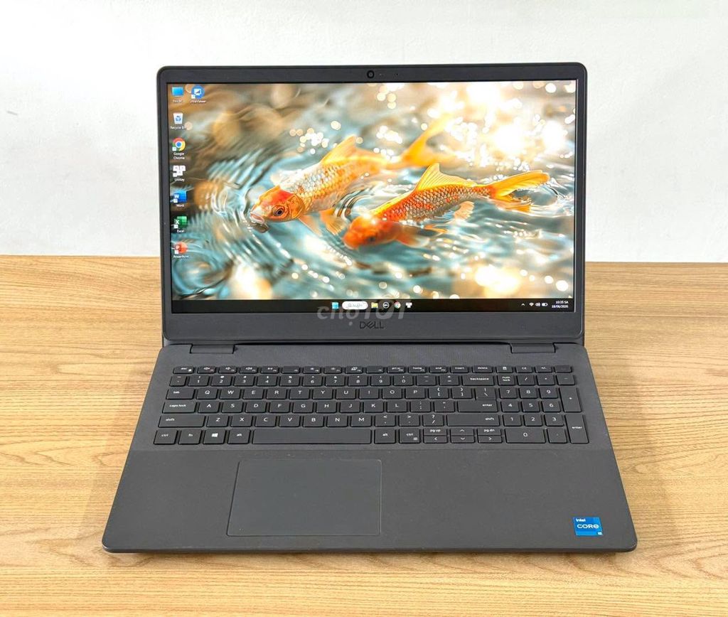 Dell 3500 | i5-1115G4 | 8GB | 512GB Màn 15.6". Mua bán Laptop tại Quận Hải Châu Đà Nẵng được đăng bởi TTCenter 484 NÚI THÀNH hình 1