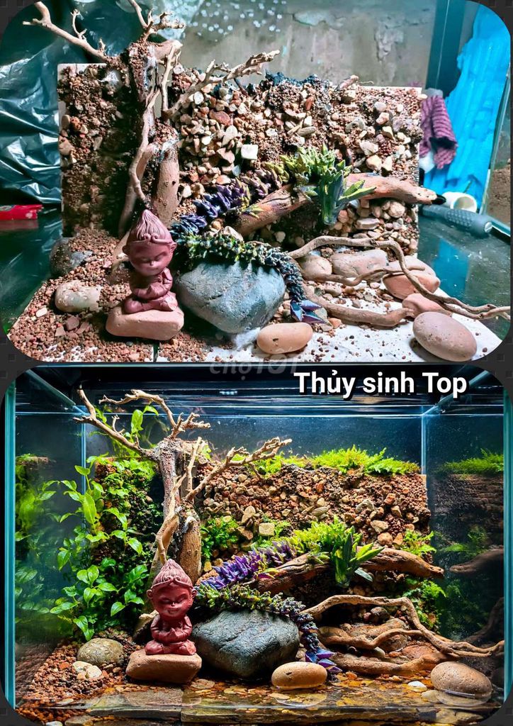 layout hồ 30cm. Mua bán Cây cảnh, đồ trang trí tại Quận Liên Chiểu Đà Nẵng được đăng bởi Trương Ngân Hà hình 1