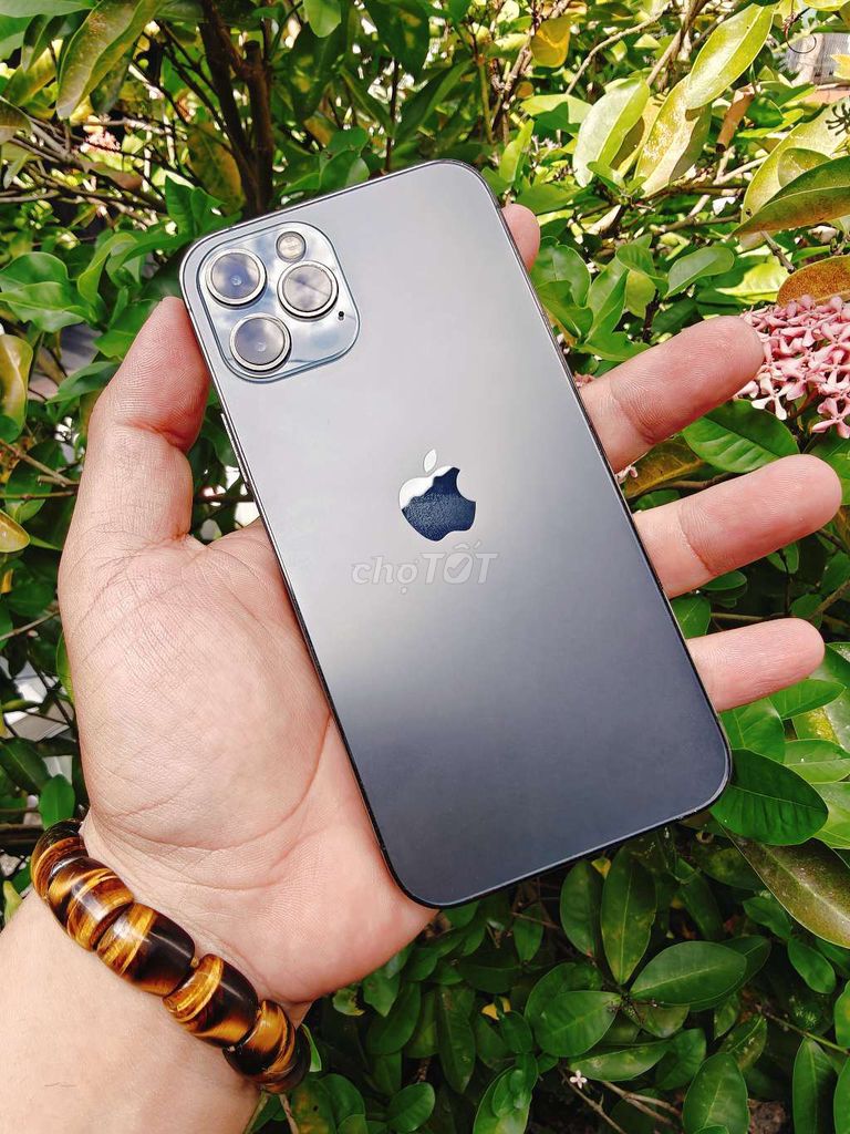 12 pro nguyên zin. Mua bán Điện thoại tại Huyện Châu Thành Sóc Trăng được đăng bởi Nhựt Trang hình 1