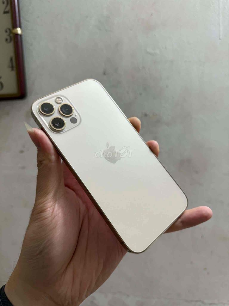 Apple iPhone 12 Pro 256GB Vàng trắng Cấn. Mua bán Điện thoại tại Quận Thanh Xuân Hà Nội được đăng bởi Hoàng Long hình 1
